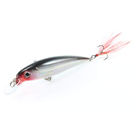Rapala X-Rap 8 cm 10 cm Wobbler Artificial Bait Lure Pike Zander Colour S - Silver, Size 10 cm