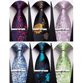 Barry.Wang Mens 6 PCS Ties Silk Striped Paisley Check Necktie Tie-Clip Silky Woven Wedding Business Party Ties