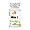 Sewanti Organic Amla Digest, Digestant, Laxative, rejuvenative, NPN 80065069, 60