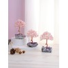 JSDDE Rose Quartz Crystal Tree Healing Crystals Stone Tree with