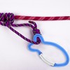 HOODANCOS 12Pcs Carabiners Clip, Fish Shape Spring-Loaded Gate Key Chain
