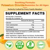 Sugar Free Potassium Gummies, Potassium Chloride 1000mg for Adults, Potassium