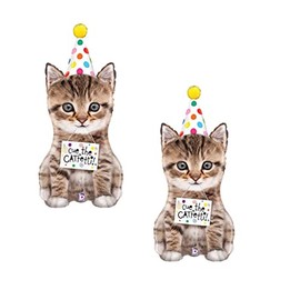 Set Of 2 Kitten 41'' Balloons Bouquet Birthday Party Decorations Supplies Cat Paw Polka Dots Hat