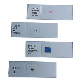 United Scientific Supplies 500-11 "Mixed Diatoms, Wm" Prepared Microscope Slide