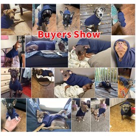 Idepet Pet Dog Hoodies Dog Clothes for Small Dogs Vest Chihuahua Clothes Warm Coat Jacket Autumn Puppy Outfits Cats Dogs Clothing(S, NavyBlue)