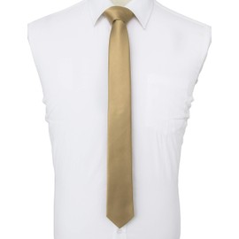 JEMYGINS Men's Necktie, Extra Narrow Tie, Skinny Tie, 2.4 inches (6 cm) Wide, Thin, Youth Necktie, Washable, champagne gold