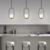 SeeU Modern Pendant Lighting One Light Chandelier Globe Black Pendant