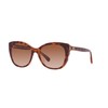 Coach HC8365U Universal Fit Sunglasses, Tortoise/Transparent Pink/Brown Pink Gradient, 55