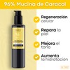 Sqin Luxiena Serum Baba de Carcacol Coreano, Snail Mucin Regenera,