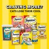 Temptations Meaty MixUps Cat Treats with Salmon & Tuna, 4.12