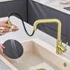 TIORIY Kitchen Faucet Head Replacement Metal, Pull Down Spray Head