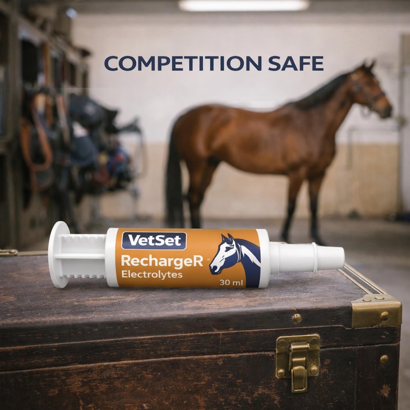 VetSet RechargeR Horse Electrolyte Paste 2 x 30ml Syringes