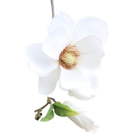 White Artificial Magnolia Fake Silk Flower Single Floral Home Decor Living Room Bedroom Garden Party Wedding Decoration in Pots Vase Home Décor Products for Desk Table, Artificial Flowers