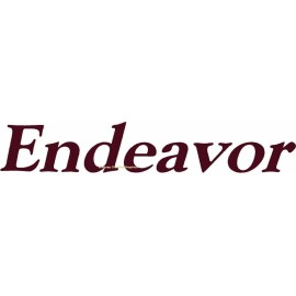 Whitney "Endeavor" RV Graphic Lettering decal Made Fresh Any Color