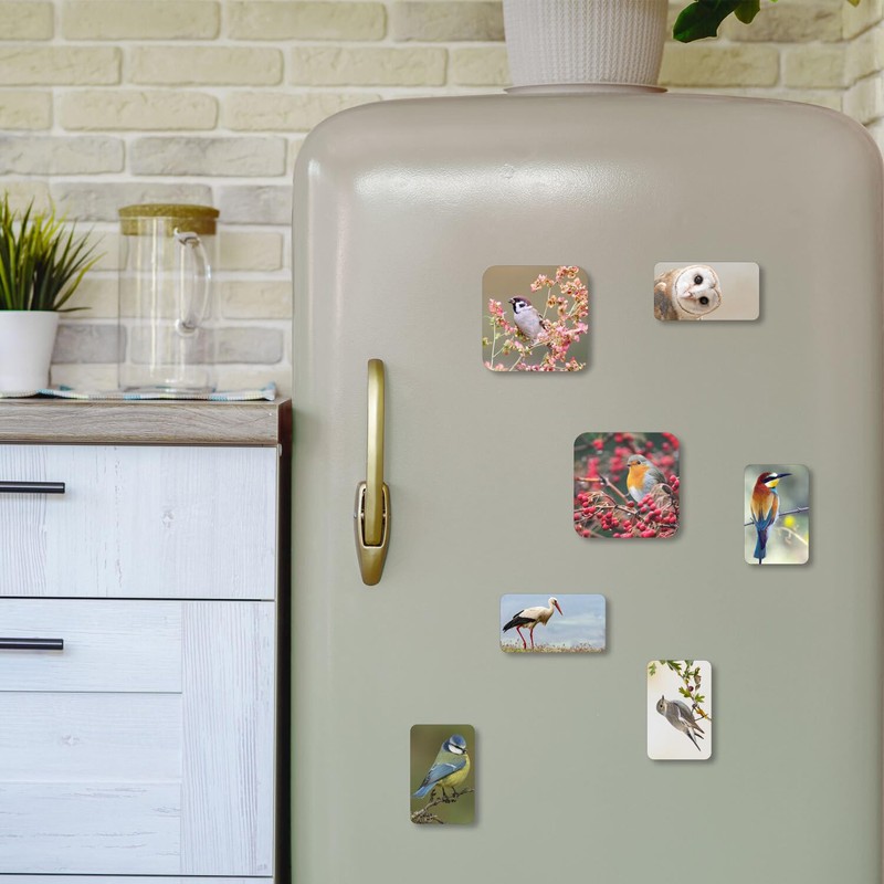 7 motif magnets with bird motifs, natural magnets, square, decoration