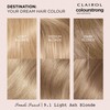 CLAIROL COLOUR STRONG PERMANENT HAIR DYE - 9.1 LIGHT ASH