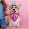 I'm Not Ignoring You I'm Deaf Dog Bandana for Large