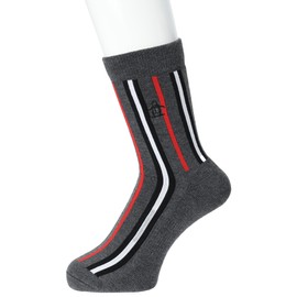 Munsing Wear MGBWJB00 Men's Mid-Length Socks, Striped Pattern, Antibacterial, Deodorizing, Footed Pile, Foot-sole Support, Golf, GY00 (Gray)