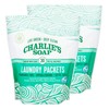 Charlie's Soap - Unscented Powdered Laundry Packets 30 Count (2
