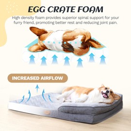 OUPEIWAWA Extra Large Dog Bed Orthopedic with Bolster Sides Removable Egg-Crate Foam Waterproof Liner Dog Bed Sofa Couch with Removable Washable Cover Non-Slip Bottom for Small Dog，Gray