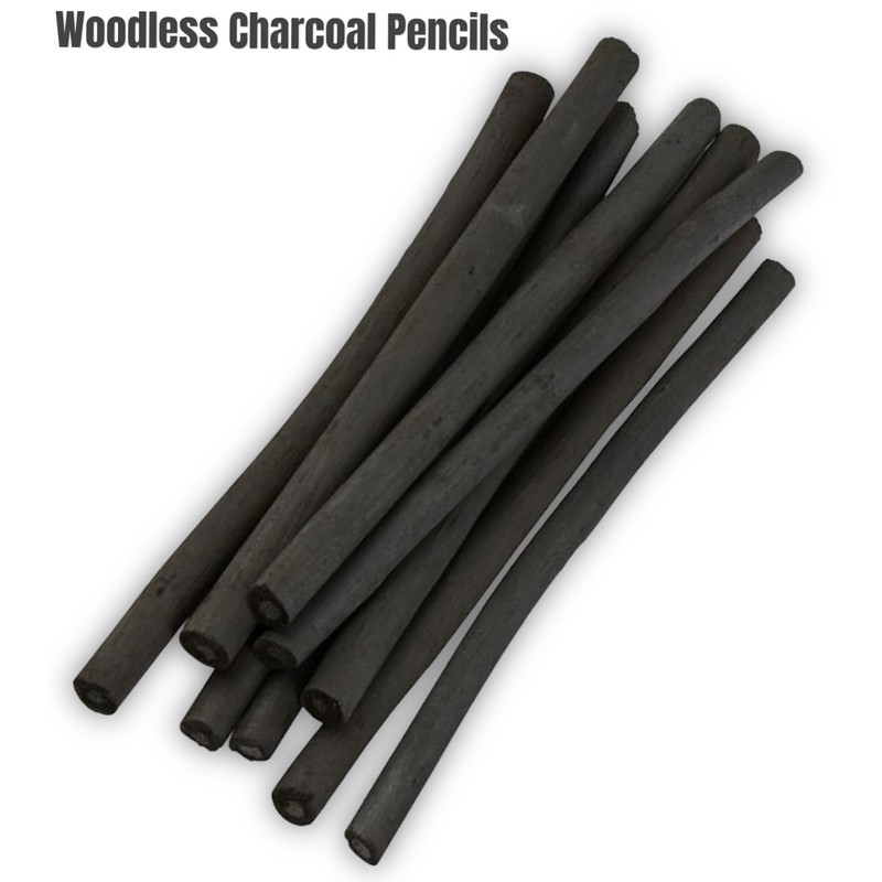 PaulStore 12 Assorted Willow Charcoal Sketch Drawing Natural Charcoal Sticks
