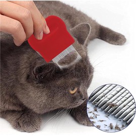 Head Lice Comb, Brush Long Pin Comb for Head Lice Treatment, Nit Free Comb (Red)
