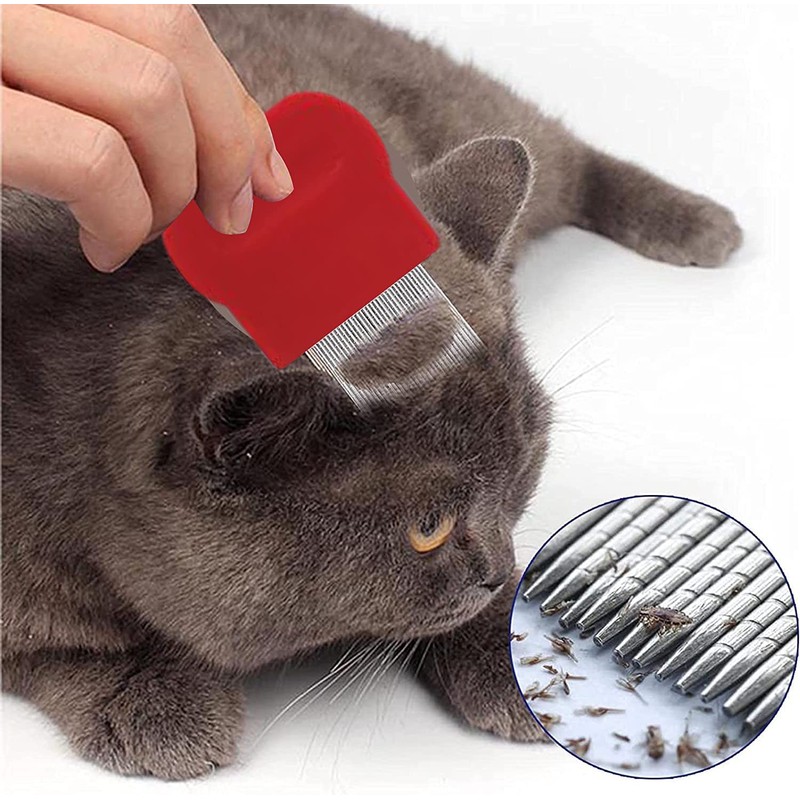 Head Lice Comb, Brush Long Pin Comb for Head Lice