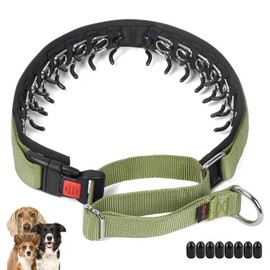 Mayerzon No Pull Dog Collar, Patented Martingale Collar for Small Medium Large Dogs with Buckle and Heavy Duty Nylon for Walking Training Hunting, Safe and Easy to Use(M, Green)
