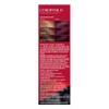 Tinte para Cabello Revlon Colorsilk Beautiful Color-Keratina 462 Borgoña Vibrante