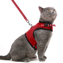 PUPTECK Soft Mesh Cat Vest Harness and Leash Set Puppy Padded Pet Harnesses Escape Proof for Cats Small Dogs Rabbits Bunny