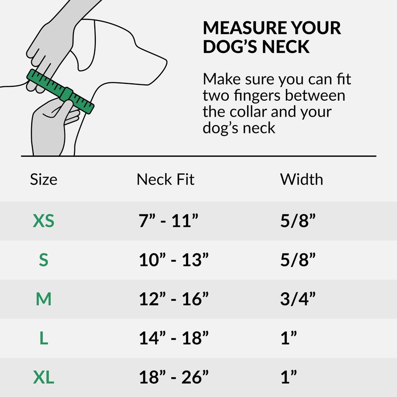 CollarDirect Reflective Dog Collar for Small Medium Large Dog Puppy