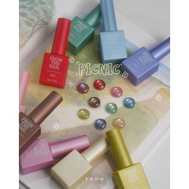 From the Nail Picnic Magnet Gel + 30 parts / 프롬더네일 피크닉 자석젤+파츠 30개