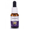 Living Essences Cape Bluebell 15ml
