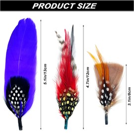 18 Pcs Hat Feathers, Assorted Feather for Fedora Hats, Colorful Natural Real Feathers Packs Accessories for DIY Craft Christmas Decorations Men Women Cowboy Pork Pie Trilby Hats, approx. 8-15 cm