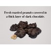 Goodland Farms Dark Chocolate Peanut Clusters, 2 Pounds - Wholesale