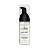 J.R. Watkins No-Rinse Foaming Hand Cleanser – Hand Soap in