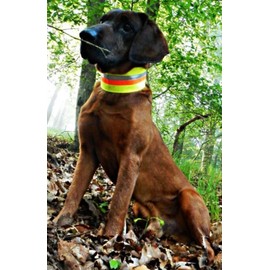 AKAH Reflective Warning Collar 3-Colour Collar Sizes Reflective Collar 50 cm Neck Circumference