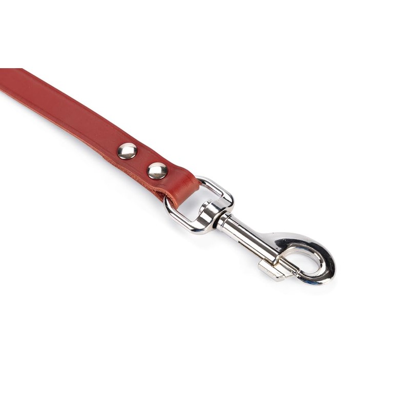 Karlie - Laisse Rondo Rivetée 16Mm 1M Rouge