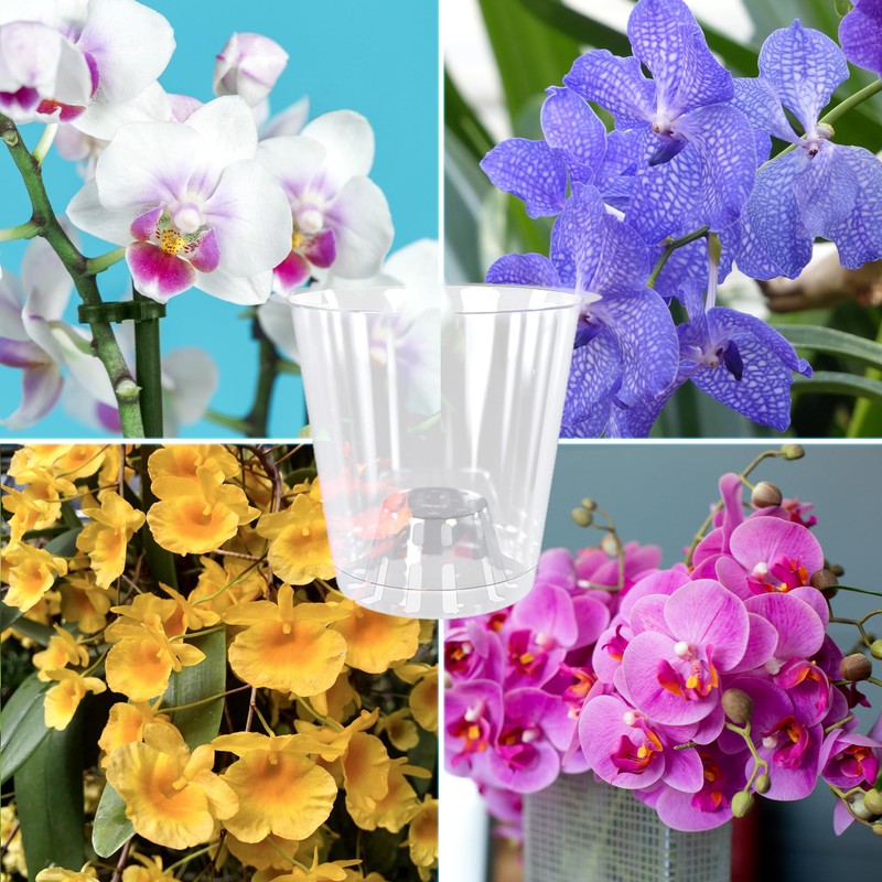 ZOMA - Set of 3 Clear Orchid Pots with Raised