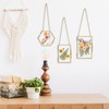 Double Glass Frame for Pressed Flowers - w/Real Dried Flowers