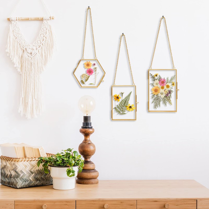 Double Glass Frame for Pressed Flowers - w/Real Dried Flowers