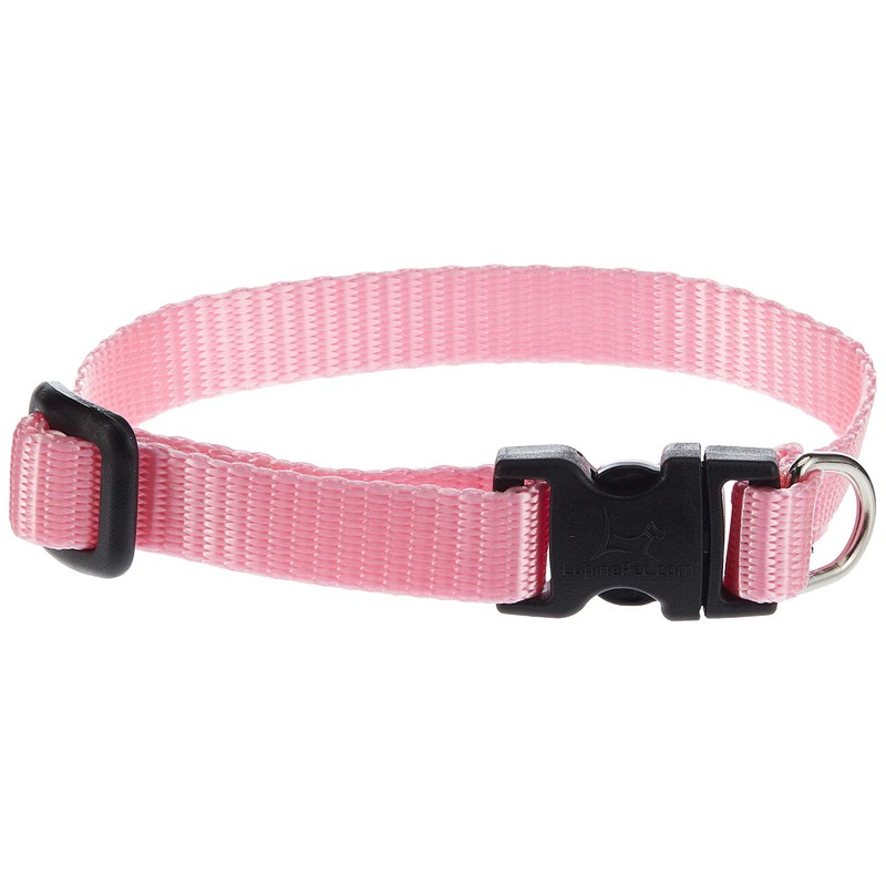 LupinePet Basics 1/2" Pink Adjustable Dog Collar 8-12" for Small