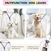 Handless Dog Leash, Adjustable Handle Bungee Leash, Hiking and Running