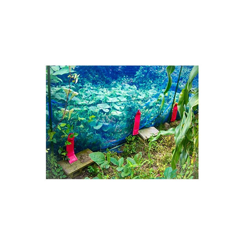 Hakubitin, Raccoon, Why Escape? Set of 10 Outdoors, Civicin, Raccoon,