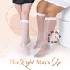 Silky Toes Sheer Knee High Stockings for Women, 6 Pairs