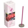 松栄 Hall of Incense Xiang Do Mix Berry ST20 2-Piece Pack of Simple Incense Stick with # 214232