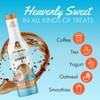 Apple Crisp Sugar-Free Sinless Syrup - Bottle Pack: 3 Bottle