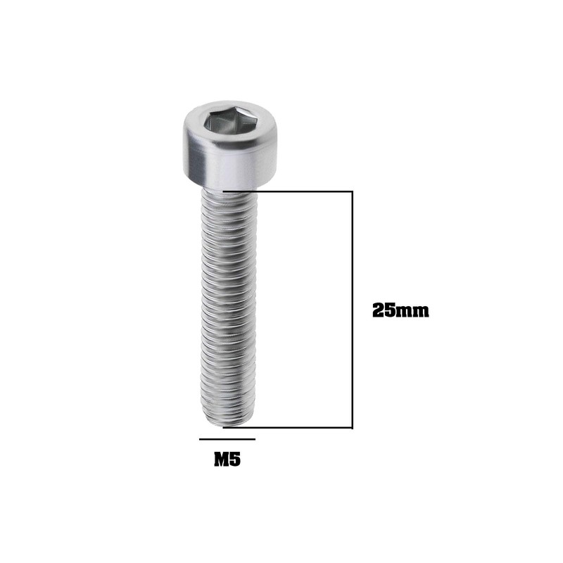 OTOTEC 10PCS M5x 25mm Torx Screws Compatible with Stihl TS400