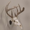 Allen Company EZ Mount Skull Hanger, Fixed, Brown