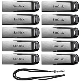 SanDisk 16GB Ultra Flair USB 3.0 Metallic Flash Drive SDCZ73-016G Bundle with (1) GoRAM Black Lanyard (16GB, 10 Pack)